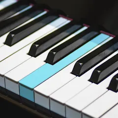 Скачать взлом Real Piano electronic keyboard (Риал Пиано)  [МОД Menu] на Андроид