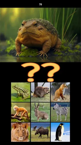 Hybrid Animals Crazy Lab Quiz (Хибридные животные Сумасшедшая лаборатория Викторина)  [МОД Menu] Screenshot 4