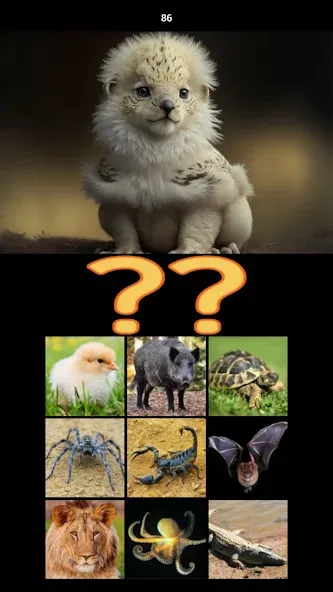 Hybrid Animals Crazy Lab Quiz (Хибридные животные Сумасшедшая лаборатория Викторина)  [МОД Menu] Screenshot 5