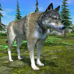 Скачать взлом Wolf Simulator - Animal Games [МОД Бесконечные монеты] на Андроид