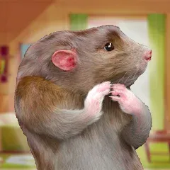 Скачать взлом Rat Game & Mouse Simulator (Рат Лайф)  [МОД Много монет] на Андроид