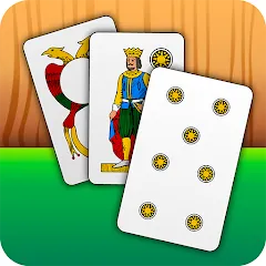 Скачать взлом Scopa - Italian Card Game (Скопа)  [МОД Все открыто] на Андроид