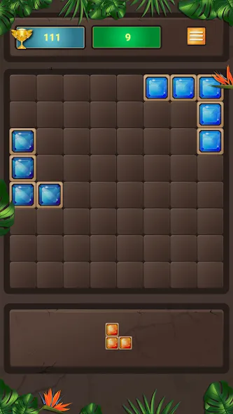 Block Puzzle (Блокголоволомка)  [МОД Много монет] Screenshot 4