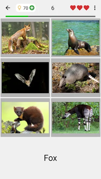 Animals Quiz Learn All Mammals  [МОД Бесконечные деньги] Screenshot 2