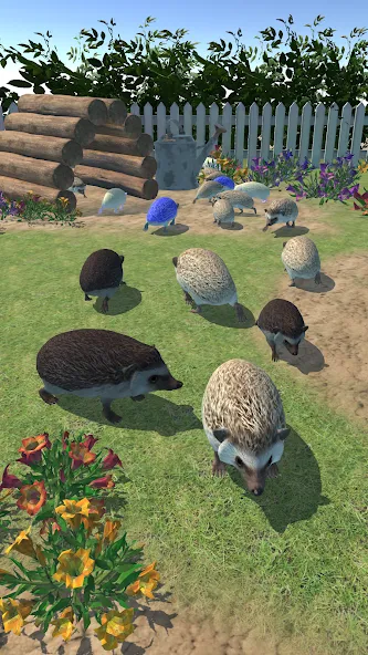 Hedgehog Friends (Хеджхог Френдс)  [МОД Mega Pack] Screenshot 3