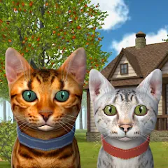 Скачать взлом Cat Simulator: Kitties Family [МОД Бесконечные деньги] на Андроид