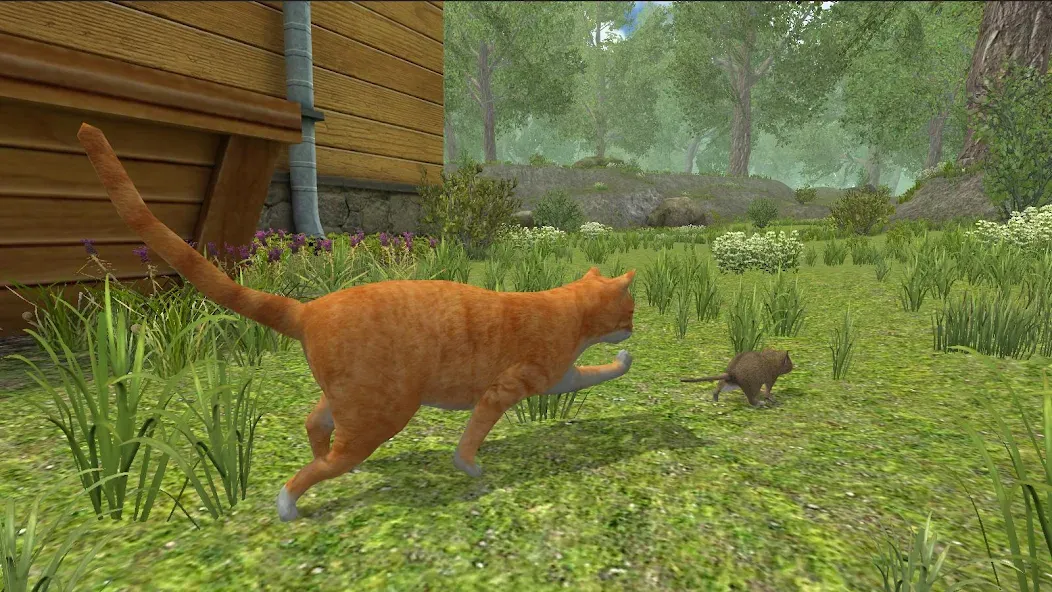 Mouse Simulator :  Forest Home  [МОД Много монет] Screenshot 3