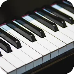 Скачать взлом Real Piano (Реал Пиано) [МОД Unlocked] на Андроид