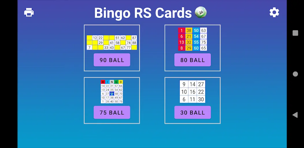 Bingo RS Cards (Бинго РС Карты)  [МОД Unlimited Money] Screenshot 1