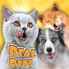 Скачать взлом Adopt a pet : Corgi Games (Риал Петс бай Фруви)  [МОД Unlimited Money] на Андроид