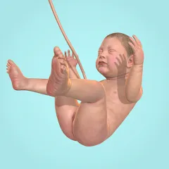Скачать взлом Idle 9 Months (Айдл 9 месяцев)  [МОД Бесконечные деньги] на Андроид