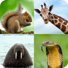 Скачать взлом Animal Quiz: Guess the Animal [МОД Бесконечные деньги] на Андроид