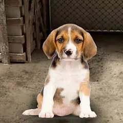 Скачать взлом My Pet Animal Shelter World [МОД Меню] на Андроид