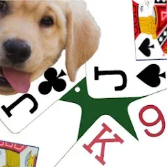 Скачать взлом K9 Euchre (К9 Юкер)  [МОД Бесконечные монеты] на Андроид