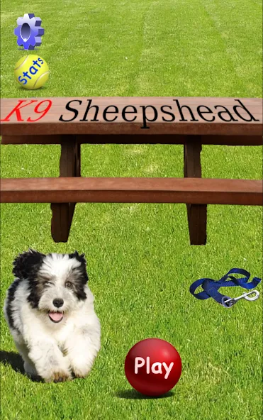 K9 Sheepshead (Schafkopf) (Шипсхед)  [МОД Unlocked] Screenshot 1