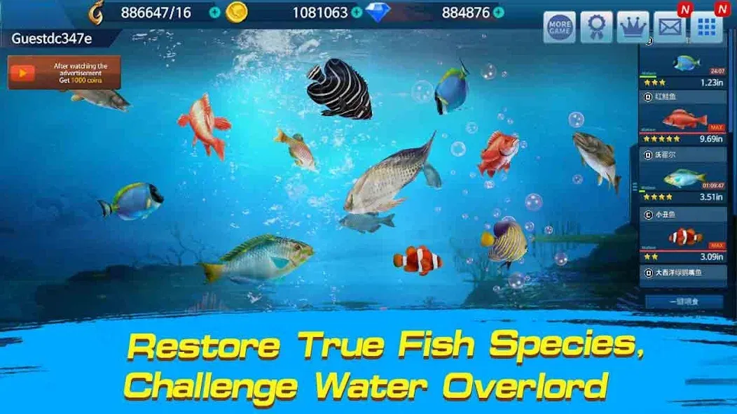 Fishing Championship  [МОД Меню] Screenshot 2