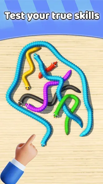 Tangled Snakes Puzzle Game (Танглед Снейк 3Д)  [МОД Бесконечные монеты] Screenshot 4