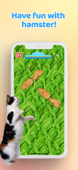 Games for Cat－Toy Mouse & Fish  [МОД Бесконечные монеты] Screenshot 5