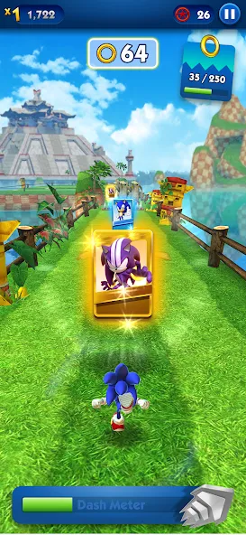 Sonic Dash - Endless Running (Соник Дэш)  [МОД Mega Pack] Screenshot 4