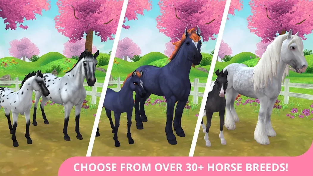 Star Stable Horses (СТар Стабл Хорсес)  [МОД Menu] Screenshot 1