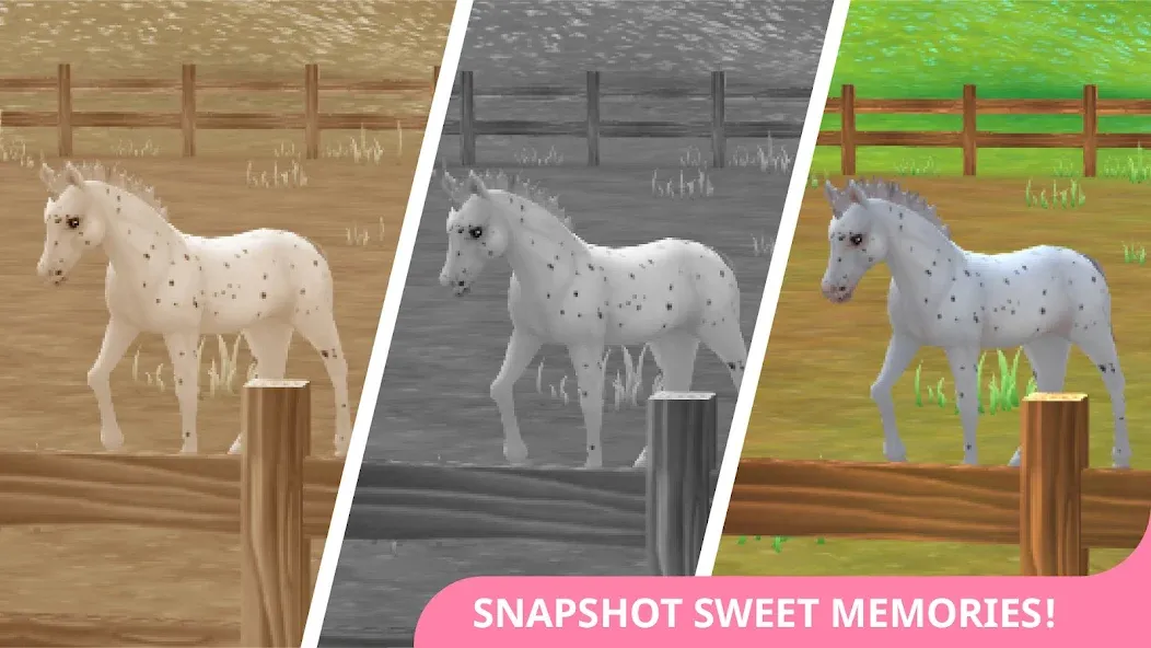 Star Stable Horses (СТар Стабл Хорсес)  [МОД Menu] Screenshot 4