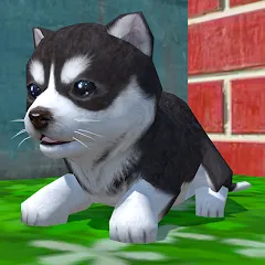 Скачать взлом Cute Pocket Puppy 3D (Сьют Покет Паппи 3Д) [МОД Меню] на Андроид