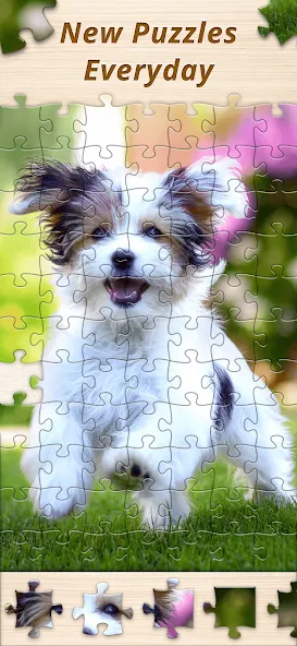 Jigsaw Premium Puzzles HD (Джигсоу)  [МОД Menu] Screenshot 5